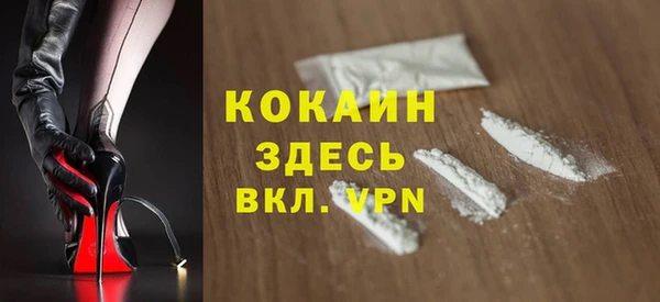 стаф Инта