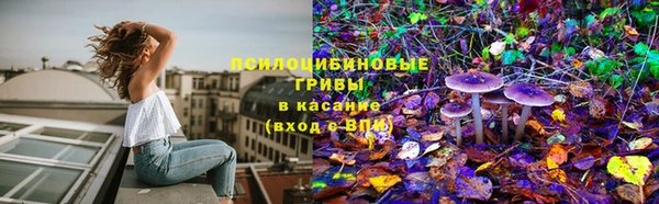 дживик Инсар