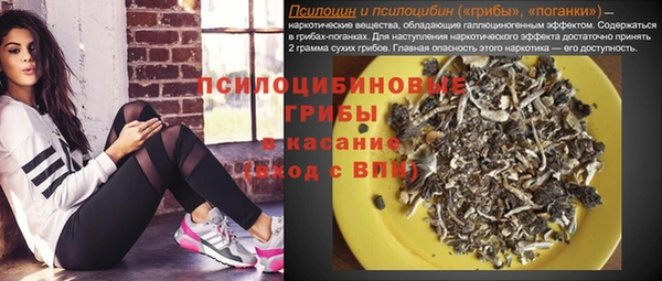 эйфоретик Заволжье