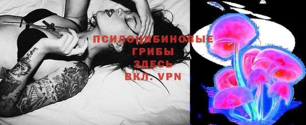 ГАЛЛЮЦИНОГЕННЫЕ ГРИБЫ Иннополис
