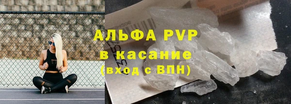 дживик Инсар