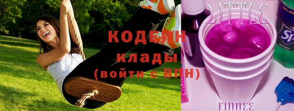 стаф Инта