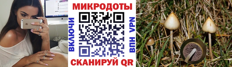 блэк спрут онион  это наркотические препараты  Псилоцибиновые грибы GOLDEN TEACHER  Кохма 