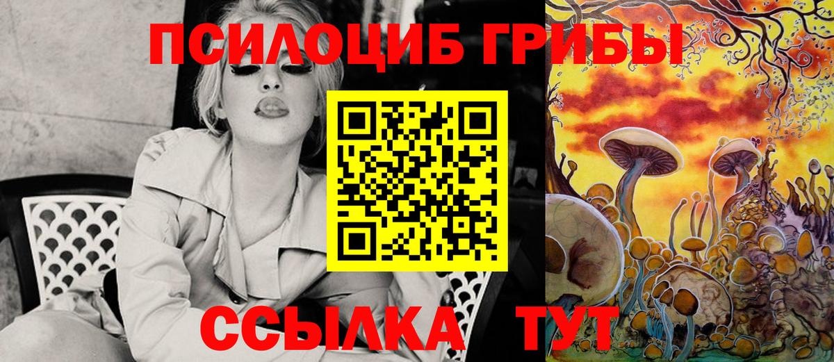 Галлюциногенные грибы Psilocybine cubensis Кохма
