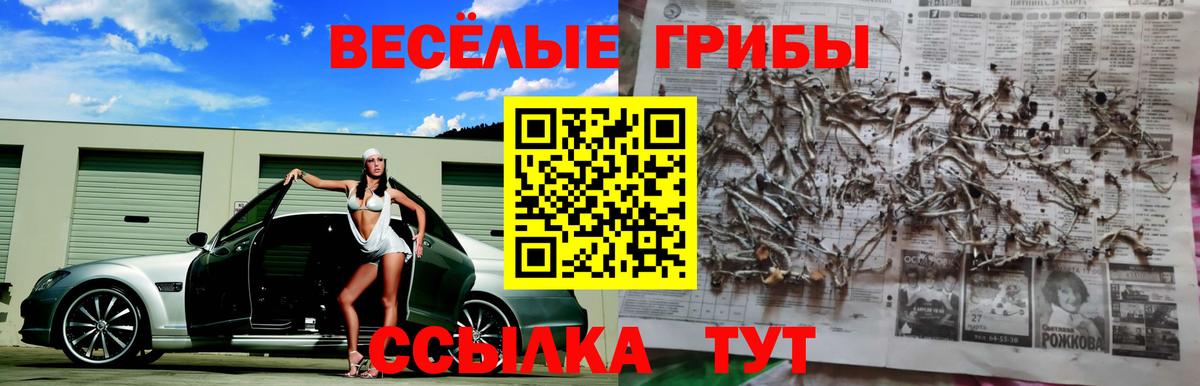 Кохма  Галлюциногенные грибы Cubensis  Вход с VPN 